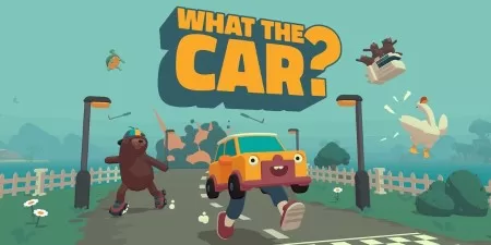What the car